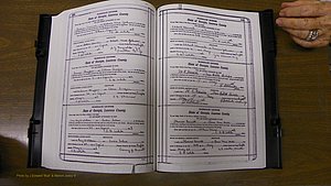 Laurens Co, GA, Marriages Book S, 1924 - 1934, White, P 218-219.JPG