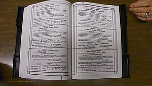 Laurens Co, GA, Marriages Book S, 1924 - 1934, White, P 220-221.JPG