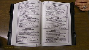 Laurens Co, GA, Marriages Book S, 1924 - 1934, White, P 226-227.JPG