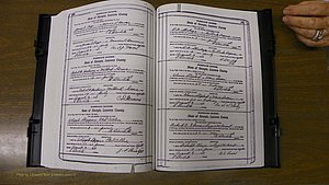 Laurens Co, GA, Marriages Book S, 1924 - 1934, White, P 230-231.JPG