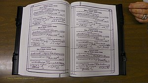 Laurens Co, GA, Marriages Book S, 1924 - 1934, White, P 232-233.JPG