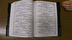 Laurens Co, GA, Marriages Book S, 1924 - 1934, White, P 234-235.JPG