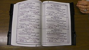 Laurens Co, GA, Marriages Book S, 1924 - 1934, White, P 242-243.JPG