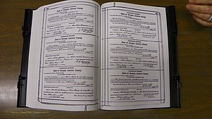Laurens Co, GA, Marriages Book S, 1924 - 1934, White, P 244-245.JPG