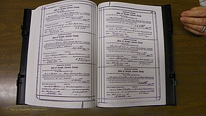 Laurens Co, GA, Marriages Book S, 1924 - 1934, White, P 246-247.JPG