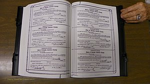 Laurens Co, GA, Marriages Book S, 1924 - 1934, White, P 250-251.JPG