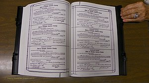 Laurens Co, GA, Marriages Book S, 1924 - 1934, White, P 252-253.JPG