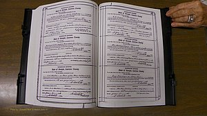 Laurens Co, GA, Marriages Book S, 1924 - 1934, White, P 254-255.JPG