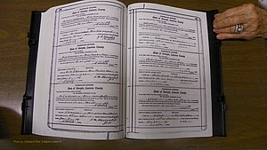 Laurens Co, GA, Marriages Book S, 1924 - 1934, White, P 260-261.JPG