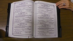 Laurens Co, GA, Marriages Book S, 1924 - 1934, White, P 264-265.JPG
