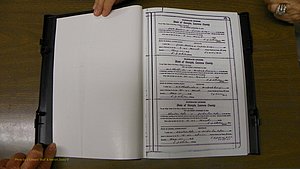 Laurens Co, GA, Marriages Book S, 1924 - 1934, White, P 271.JPG