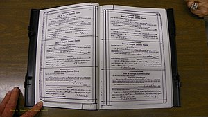 Laurens Co, GA, Marriages Book S, 1924 - 1934, White, P 272-273.JPG