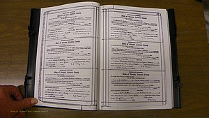 Laurens Co, GA, Marriages Book S, 1924 - 1934, White, P 276-277.JPG