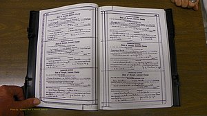 Laurens Co, GA, Marriages Book S, 1924 - 1934, White, P 284-285.JPG