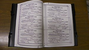 Laurens Co, GA, Marriages Book S, 1924 - 1934, White, P 286-287.JPG