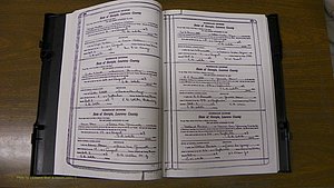 Laurens Co, GA, Marriages Book S, 1924 - 1934, White, P 288-289.JPG