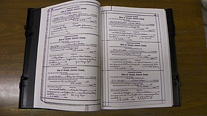 Laurens Co, GA, Marriages Book S, 1924 - 1934, White, P 290-291.JPG