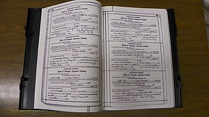 Laurens Co, GA, Marriages Book S, 1924 - 1934, White, P 292-293.JPG