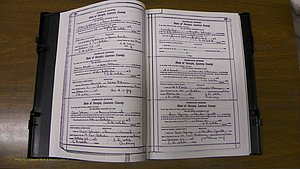 Laurens Co, GA, Marriages Book S, 1924 - 1934, White, P 294-295.JPG