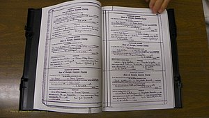Laurens Co, GA, Marriages Book S, 1924 - 1934, White, P 298-299.JPG