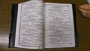 Laurens Co, GA, Marriages Book S, 1924 - 1934, White, P 300-301.JPG