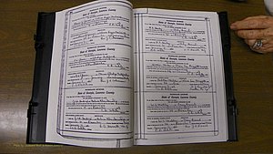 Laurens Co, GA, Marriages Book S, 1924 - 1934, White, P 306-307.JPG