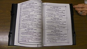 Laurens Co, GA, Marriages Book S, 1924 - 1934, White, P 310-311.JPG