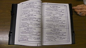 Laurens Co, GA, Marriages Book S, 1924 - 1934, White, P 312-313.JPG