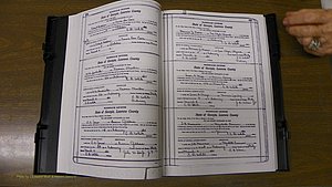 Laurens Co, GA, Marriages Book S, 1924 - 1934, White, P 314-315.JPG