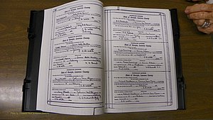 Laurens Co, GA, Marriages Book S, 1924 - 1934, White, P 316-317.JPG