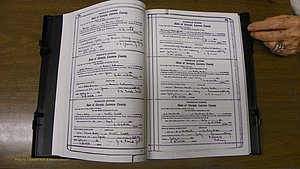 Laurens Co, GA, Marriages Book S, 1924 - 1934, White, P 320-321.JPG