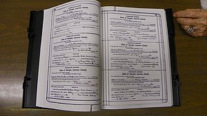 Laurens Co, GA, Marriages Book S, 1924 - 1934, White, P 326-327.JPG