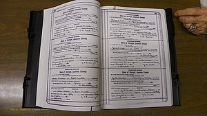 Laurens Co, GA, Marriages Book S, 1924 - 1934, White, P 328-329.JPG