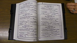 Laurens Co, GA, Marriages Book S, 1924 - 1934, White, P 332-333.JPG