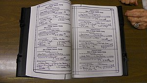 Laurens Co, GA, Marriages Book S, 1924 - 1934, White, P 342-343.JPG