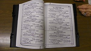 Laurens Co, GA, Marriages Book S, 1924 - 1934, White, P 344-345.JPG