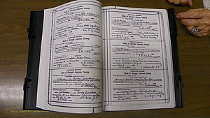 Laurens Co, GA, Marriages Book S, 1924 - 1934, White, P 348-349.JPG
