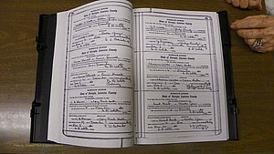 Laurens Co, GA, Marriages Book S, 1924 - 1934, White, P 350-351.JPG