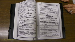 Laurens Co, GA, Marriages Book S, 1924 - 1934, White, P 352-353.JPG