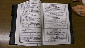 Laurens Co, GA, Marriages Book S, 1924 - 1934, White, P 356-357.JPG