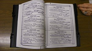 Laurens Co, GA, Marriages Book S, 1924 - 1934, White, P 364-365.JPG