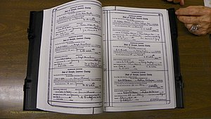 Laurens Co, GA, Marriages Book S, 1924 - 1934, White, P 366-367.JPG