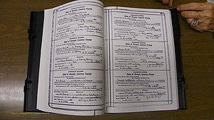 Laurens Co, GA, Marriages Book S, 1924 - 1934, White, P 368-369.JPG