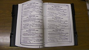 Laurens Co, GA, Marriages Book S, 1924 - 1934, White, P 374-375.JPG