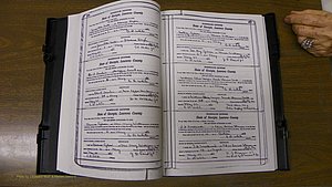 Laurens Co, GA, Marriages Book S, 1924 - 1934, White, P 376-377.JPG