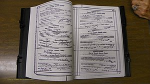 Laurens Co, GA, Marriages Book S, 1924 - 1934, White, P 378-379.JPG