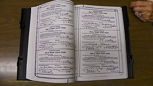 Laurens Co, GA, Marriages Book S, 1924 - 1934, White, P 380-381.JPG
