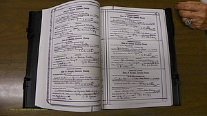 Laurens Co, GA, Marriages Book S, 1924 - 1934, White, P 382-383.JPG