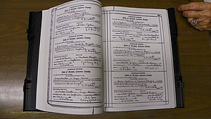 Laurens Co, GA, Marriages Book S, 1924 - 1934, White, P 392-393.JPG