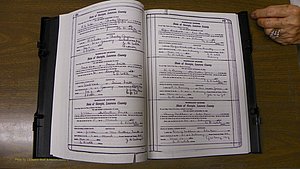 Laurens Co, GA, Marriages Book S, 1924 - 1934, White, P 412-413.JPG